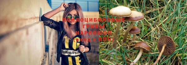 прущие крисы Алексин