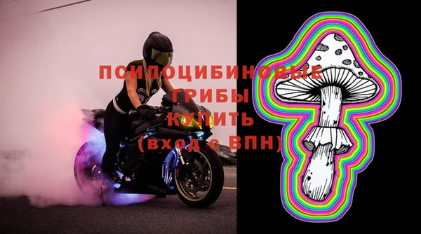 прущие крисы Алексин