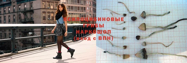 прущие крисы Алексин
